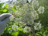 Thumbnail IMG_7925.JPG 