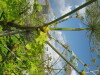 Thumbnail IMG_7942.JPG 