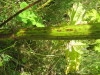 Thumbnail IMG_7945.JPG 