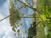 Thumbnail IMG_7947.JPG 