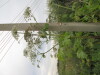 Thumbnail IMG_0006.JPG 