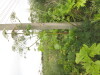 Thumbnail IMG_0007.JPG 
