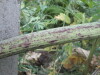 Thumbnail IMG_0014.JPG 