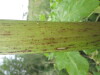 Thumbnail IMG_0016.JPG 