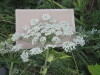 Thumbnail IMG_0022.JPG 