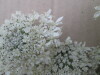Thumbnail IMG_0026.JPG 