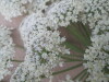 Thumbnail IMG_0031.JPG 
