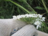 Thumbnail IMG_0041.JPG 