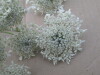 Thumbnail IMG_0044.JPG 