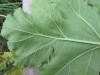 Thumbnail IMG_0048.JPG 