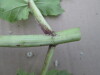 Thumbnail IMG_0053.JPG 