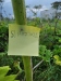 Thumbnail IMG_20210717_183322.jpg 