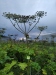 Thumbnail IMG_20210717_183328.jpg 