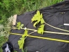 Thumbnail IMG_20210717_183809.jpg 