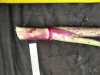 Thumbnail IMG_20210717_184016.jpg 