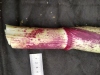 Thumbnail IMG_20210717_184022.jpg 