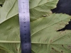 Thumbnail IMG_20210717_184829.jpg 