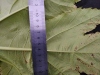 Thumbnail IMG_20210717_184834.jpg 