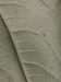 Thumbnail IMG_20210717_185025.jpg 