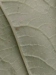 Thumbnail IMG_20210717_185028.jpg 
