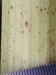 Thumbnail IMG_20210717_185243.jpg 