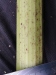 Thumbnail IMG_20210717_185250.jpg 