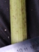 Thumbnail IMG_20210717_185304.jpg 