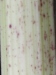 Thumbnail IMG_20210717_185315.jpg 