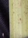 Thumbnail IMG_20210717_185329.jpg 