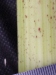 Thumbnail IMG_20210717_185333.jpg 