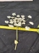 Thumbnail IMG_20210717_185558.jpg 