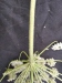 Thumbnail IMG_20210717_185609.jpg 