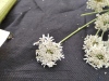 Thumbnail IMG_20210717_185624.jpg 