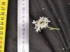 Thumbnail IMG_20210717_185645.jpg 