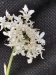 Thumbnail IMG_20210717_185658.jpg 