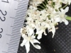 Thumbnail IMG_20210717_185814.jpg 