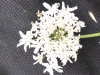 Thumbnail IMG_20210717_185856.jpg 
