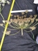 Thumbnail IMG_20210717_190044.jpg 