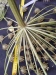 Thumbnail IMG_20210717_190106.jpg 