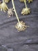 Thumbnail IMG_20210717_190108.jpg 