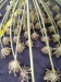 Thumbnail IMG_20210717_190110.jpg 