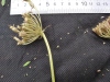 Thumbnail IMG_20210717_190145.jpg 