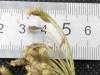 Thumbnail IMG_20210717_190207.jpg 