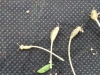 Thumbnail IMG_20210717_190256.jpg 