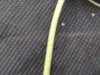 Thumbnail IMG_20210717_190316.jpg 