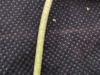 Thumbnail IMG_20210717_190333.jpg 