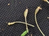 Thumbnail IMG_20210717_190338.jpg 