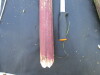 Thumbnail IMG_0504.JPG 