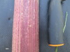 Thumbnail IMG_0505.JPG 