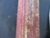 Thumbnail IMG_0509.JPG 